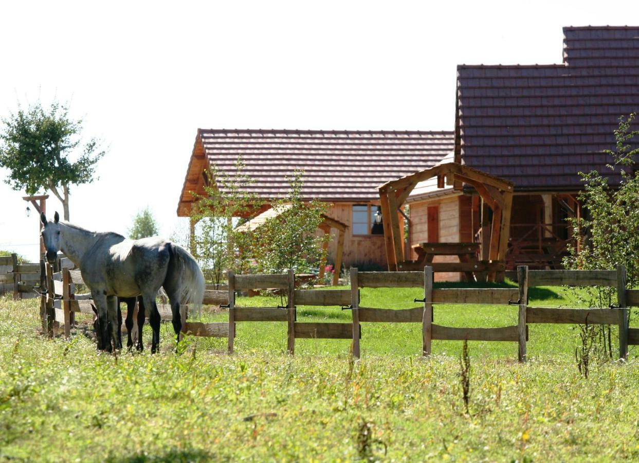 Le Hameau Des Grilles Villa Saint-Fargeau  Exterior foto